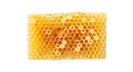 Closeup of a honeycomb piece isolated on transparent background, showcasing its intricate hexagonal structure and golden honey filling