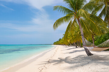 Ultra-realistic 8K wide shot of tropical beach with white sand, turquoise water, palm trees swaying, hammock tied between trees