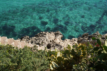 Turquoise water meets rocky coastline. Lush green vegetation clings to the rocks. The scene evokes a sense of tranquility and natural beauty.