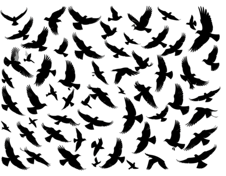 Dark background speckled with tiny white, gray, and colored flecks, creating a chaotic yet subtly patterned texture.  A few slightly larger, brighter spots are scattered