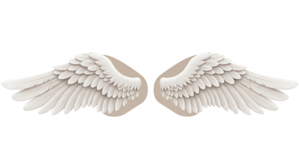 Pair of symmetrical, light beige angel wings