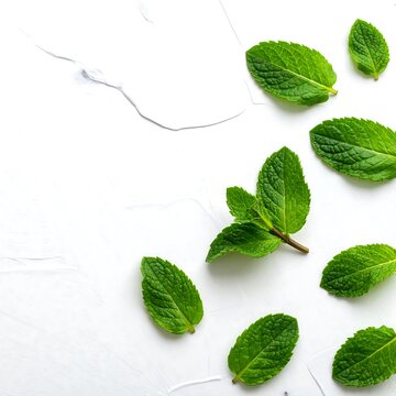 Fresh mint leaves on textured white surface