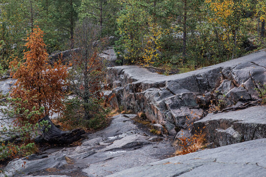 Ladoga skerries, stone islands on Lake Ladoga. Beautiful natural landscape. Republic of Karelia, Russia.