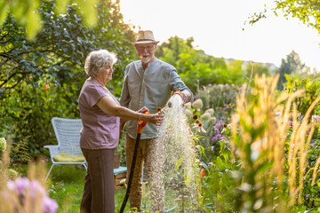 Senior couple watering plants in the garden on a sunny summer day  © pikselstock