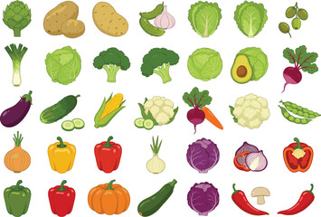 Large Assortment of Colorful Fresh Vegetables, a Healthy and Organic Collection of Raw Foods for Cooking and a Nutritious Diet