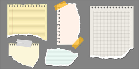 Torn paper sheets for notes, text, sticky sheets with tape. Set of office notepads and information boards concept Template for note message on notebook page, torn paper piece Vector square lined paper