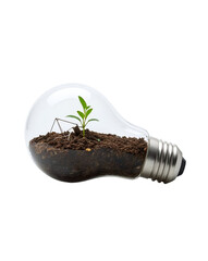 Glass lightbulb filled with soil and a small green plant isolated on a transparent background