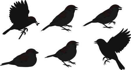Sparrow silhouette illustration, bird artwork, flying bird vector, sparrow drawing, wildlife design, nature study, perched bird, ornithology graphic