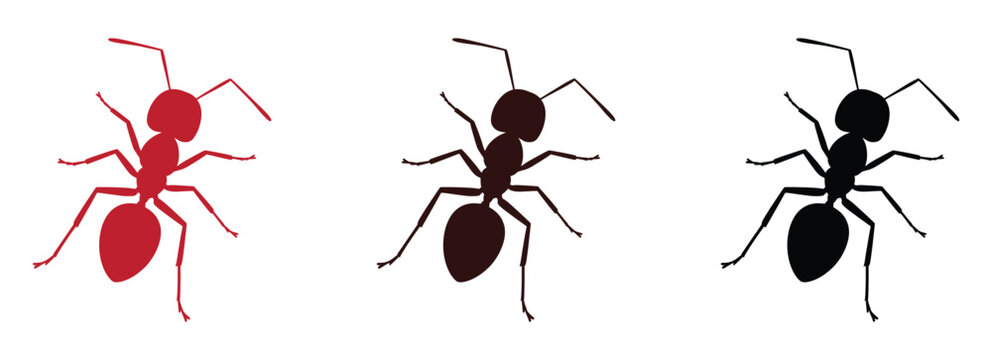 ant logo vector silhouette illustration, vector illustration of ant logo icon design, vector of a black and red silhouette ant, black and red ant silhouette isolated on white background.