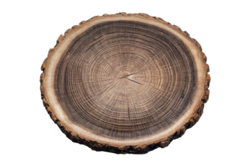 A polished cross-section of a tree trunk, showcasing concentric growth rings and a rough bark edge against a black background