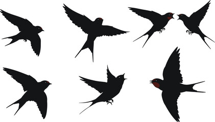 Swallow silhouette illustration, bird artwork, flying bird vector, swallow drawing, wildlife design, nature study, ornithology graphic, exotic bird, tattoo art