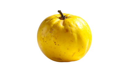 A single, ripe, yellow fruit with subtle brown speckles and a short stem sits against a black background.  Its skin appears smooth yet slightly textured