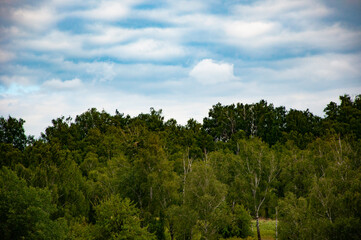Green forest wood landscape. Nature of mixed forest. Landscape of scenery nature. Scenic landscape of woodland. Hill landscape with forest. Nature forest with cloudy sky