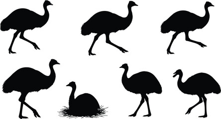 Emu bird silhouettes standing, walking, nesting with eggs, Australian wildlife illustration, flightless bird poses, black and white vector design