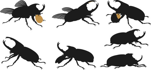 Rhinoceros beetle silhouettes in flight, crawling insect poses, horned beetle fighting stance, feeding behavior, entomology illustration, black and white vector design