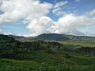 A scenic view of green hills under a bright blue sky with fluffy white clouds, representing natural beauty and outdoor landscapes.