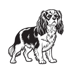 Vector of Cavalier King Charles Spaniel stands, its long, silky ears and gentle expression highlighted. The vector captures the breed's graceful and friendly nature. Pet.