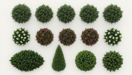A collection of decorative landscaping plants in various shapes and flower colors, displayed on a plain background.