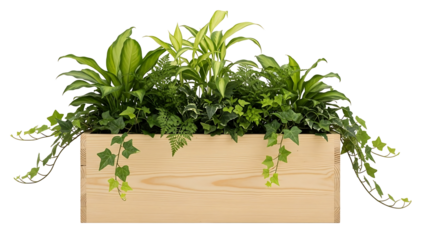 Wooden planter box filled with various greenery
