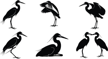 Heron silhouette illustration, flying heron, standing heron, walking heron, courtship display, nesting heron, bird wildlife art, elegant wetland animal graphic