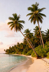 Obraz premium Palm trees lean over a sandy beach at sunset.