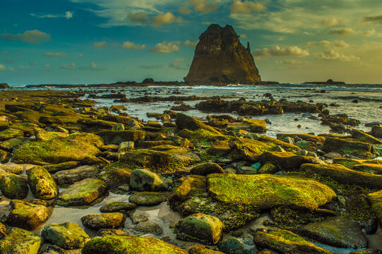 the stone of view Papuma beach in Jember