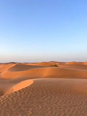 Golden sand dunes stretch endlessly across the landscape in Douz, Tunisia, reflecting the warm light of the sun. The serene desert scene captivates with its natural beauty.