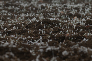 This image showcases a detailed closeup view of a small pile of dirt that has a distinct layer of white powder resting on top of it