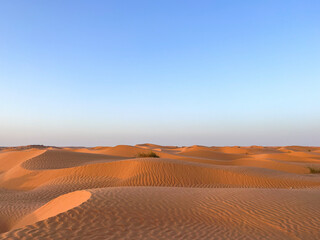 Golden sand dunes stretch endlessly across the landscape in Douz, Tunisia, reflecting the warm light of the sun. The serene desert scene captivates with its natural beauty.