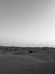Golden sand dunes stretch endlessly across the landscape in Douz, Tunisia, reflecting the warm light of the sun. The serene desert scene captivates with its natural beauty.