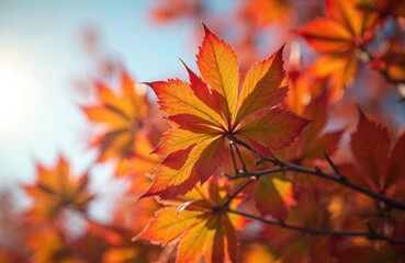 Closeup of red orange leaves on twig against blue sky. Early spring foliage, sunny day in botanical garden. Multicolored leaves. Freshness, growth, vibrant colors in nature.