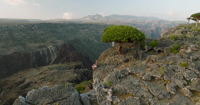 Firmihin, Yemen - 21 August 2025: Aerial view of the Dragons Blood Tree Forest, where unique trees stand atop rocky cliffs overlooking a vast, rugged landscape.