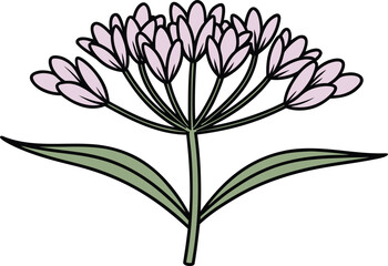 Swamp Milkweed Botanical Illustration. Realistic Swamp Milkweed Flower Artwork. Elegant Swamp Milkweed Plant Design. Isolated Swamp Milkweed Bloom Drawing. Decorative Swamp Milkweed Garden Artwork