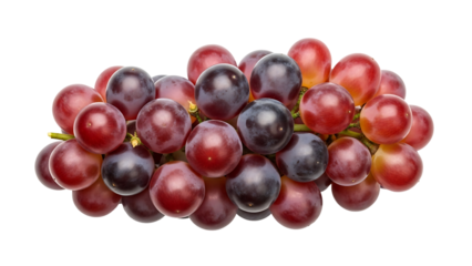 Close-up cluster of red and purple grapes