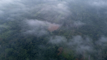 Obraz premium Aerial of Village in rain cloud cover tropical green mountain. Rainy season. Misty cover green forest. beautiful green village