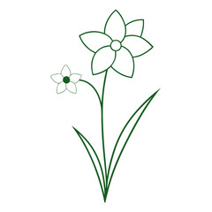 minimal line art  narcissus pink flower vector on white