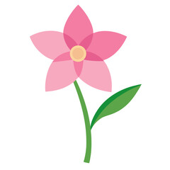 narcissus pink flower vector isolated on whited