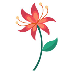 nerine flower vector on white background