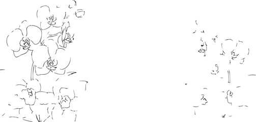 Elegant orchid bloom sketch evokes natural beauty and serene sophistication for botanical art and design projects