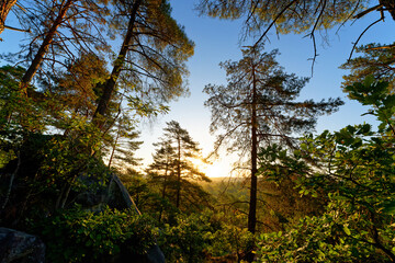 Justice de Noisy hill in the 25 bumps circuit. Trois Pignons forest 
