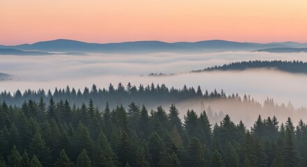 Misty mountain forest sunrise with soft orange and blue sky colors