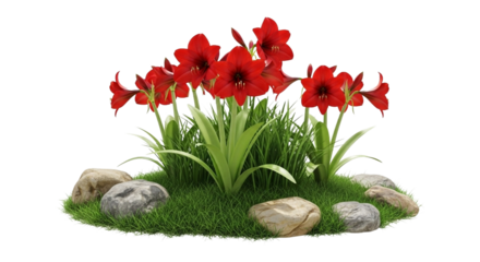 A vibrant red amaryllis flower arrangement with green grass and stones isolated on transparent background