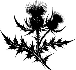 Elegant black silhouette of a thistle plant with spiky leaves and detailed floral heads, symbolizing resilience and beauty.