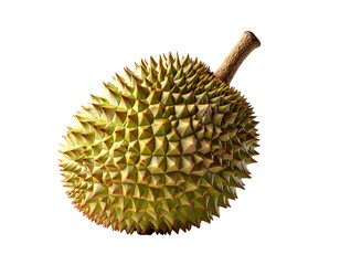 A whole durian fruit, pale green-yellow, with sharp, triangular spines covering its rind, and a woody stem