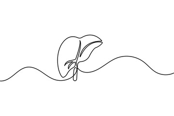 Continuous one line drawing of liver anatomy minimalist design isolate organ outline vector illustration
