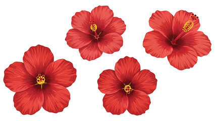 Four vibrant red hibiscus flowers, outlined in black, on a black background