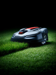 Robotic lawn mower with perfectly cut lawn, empty space