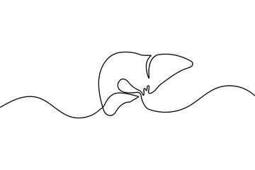 Continuous one line drawing of liver anatomy minimalist design isolate organ outline vector illustration

