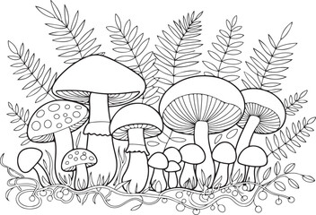 Botanical Mushroom Illustration with Fern Leaves – Detailed Nature Line Drawing for Design and Decor