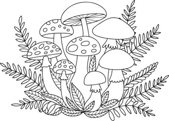 Botanical Mushroom Illustration with Fern Leaves – Detailed Nature Line Drawing for Design and Decor